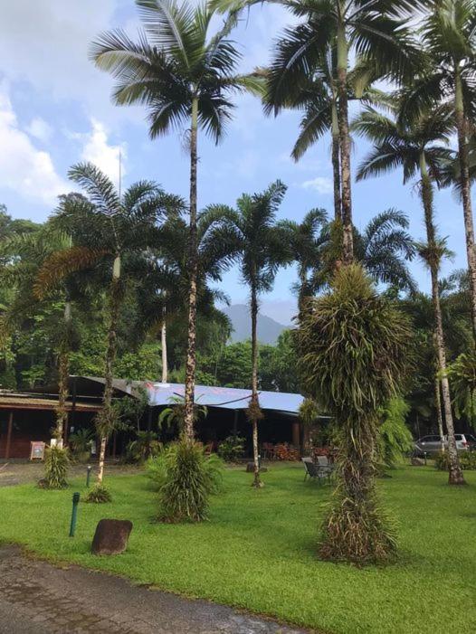 Villa Daintree Siesta Diwan Exterior foto